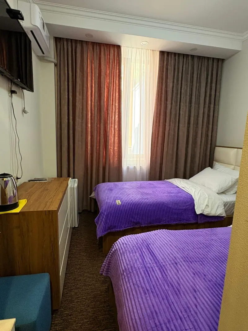 Comfortable twin beds with violet throws